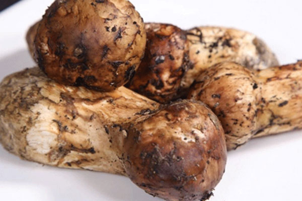 新鮮松茸中間發(fā)黑是不是壞了