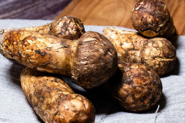 松茸磨粉后可以直接沖水喝嗎