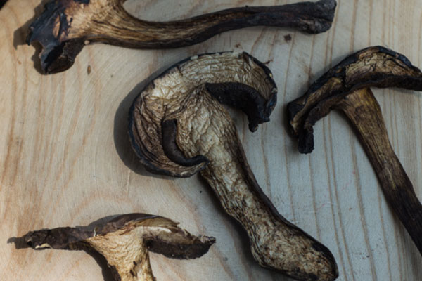 新鮮牛肝菌怎么做成干的 新鮮牛肝菌怎么做成干的