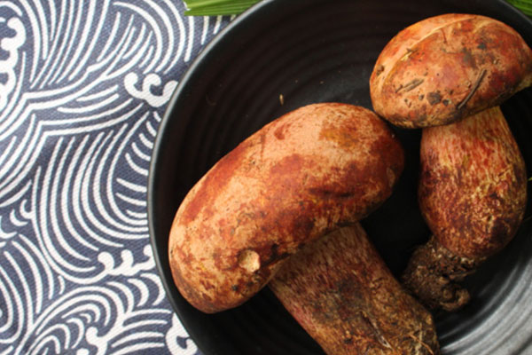 吃不完的牛肝菌怎么保存，牛肝菌的傘下面要去掉嗎