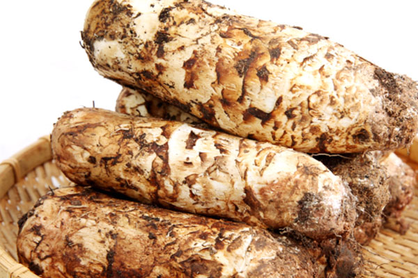 咳嗽可以吃松茸菇嗎，風熱感冒者可以喝鮮松茸湯嗎