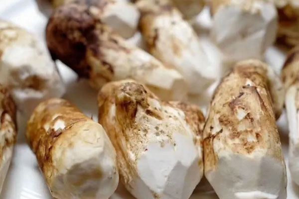 嗓子發(fā)炎能吃松茸嗎，尿酸高能吃松茸嗎