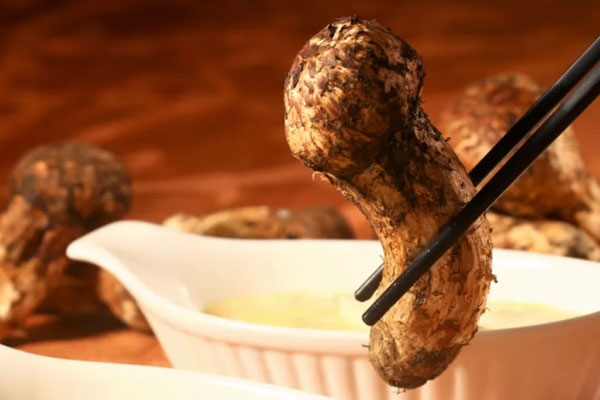 尿路感染可以吃松茸嗎，頭痛可以吃松茸嗎