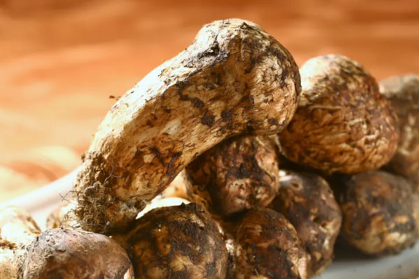 松茸燉羊肉的功效作用，松茸算不算高檔菜