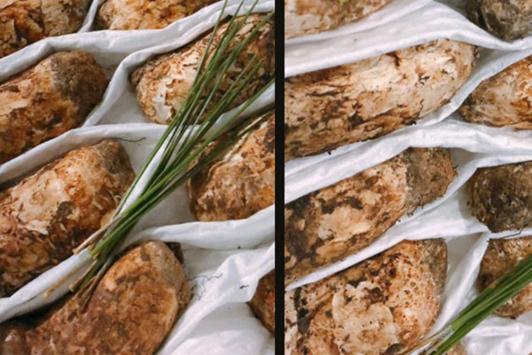 做透析的人可以吃松茸嗎 做透析的人可以吃松茸嗎