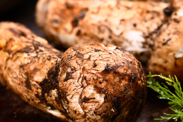 腎不好的人可以吃松茸嗎，腎移植后可以吃松茸嗎