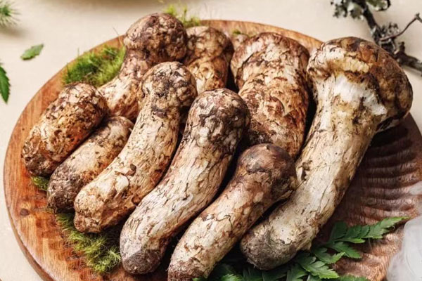 新鮮松茸能放急凍嗎