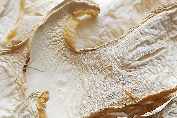 干松茸吃多了好嗎，松茸干太老了能不能吃