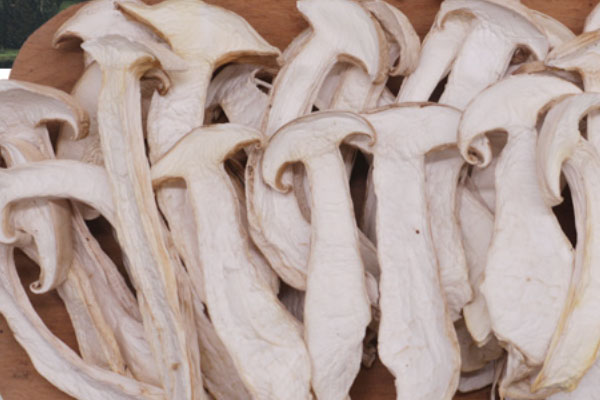 松茸干太老了能吃嗎