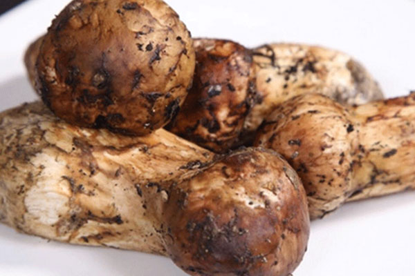 松茸搭配魚(yú)怎么吃 松茸搭配魚(yú)怎么吃