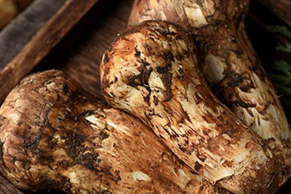 松茸是洗干凈了冷藏嗎，松茸要切片還是整個燉湯