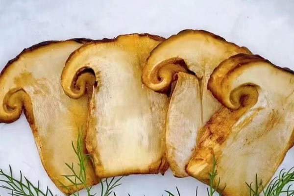 橄欖油可以熬松茸油嗎，用橄欖油煎松茸幾分鐘好