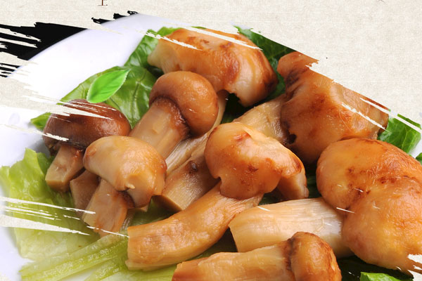 冷凍的松茸解凍多久能吃 冷凍的松茸解凍多久能吃