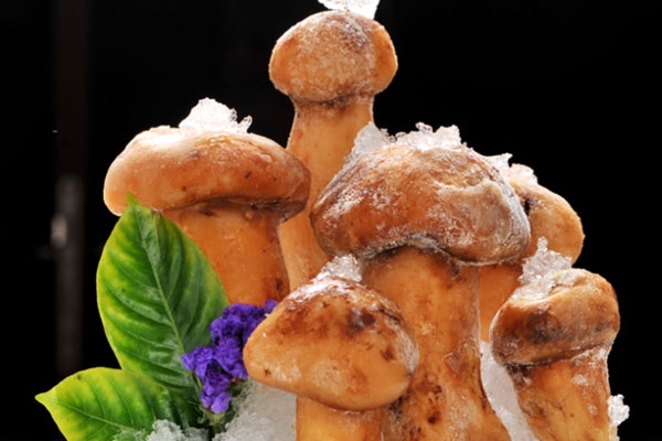 松茸冷凍一個月還可以吃嗎，松茸冷凍后還有營養(yǎng)嗎