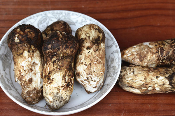 新鮮松茸需要抽真空冷凍嗎，冷凍過的松茸還能吃嗎