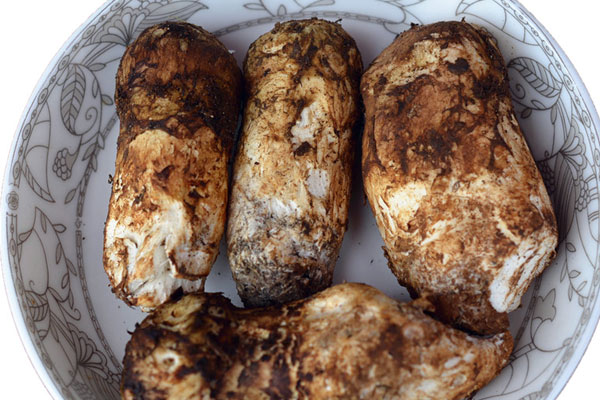 腌制松茸用什么容器好 腌制松茸用什么容器好