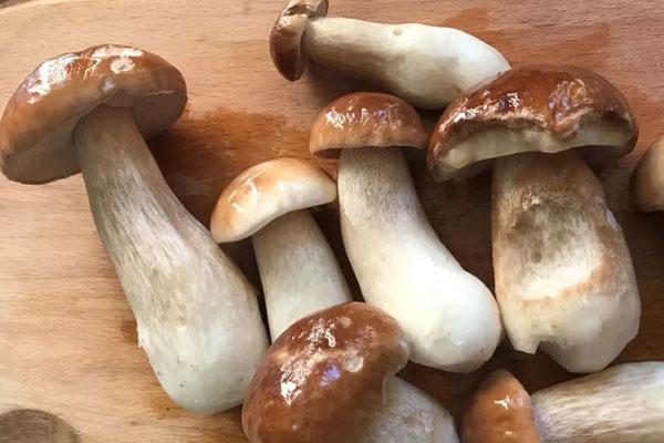 牛肝菌放了兩年了還能用嗎，牛肝菌泡了十小時(shí)還能吃嗎