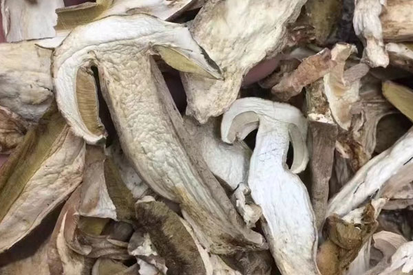 牛肝菌泡了十小時(shí)還可以吃嗎 牛肝菌泡了十小時(shí)還可以吃嗎