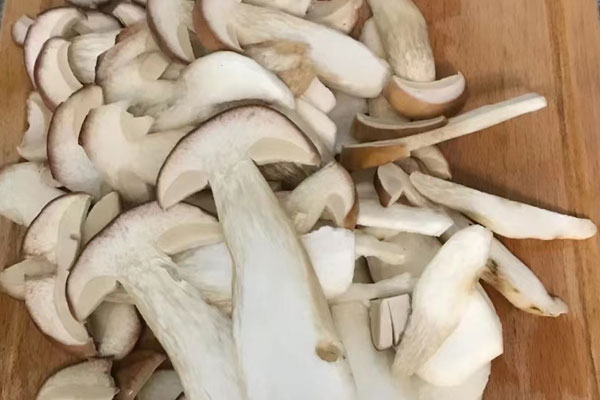 牛肝菌的樣子 牛肝菌的樣子