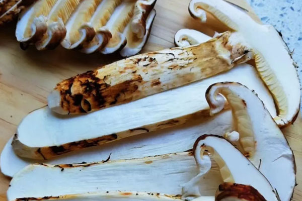 孕婦吃松茸的好處 孕婦吃松茸的好處