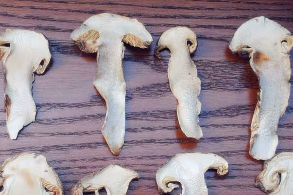 腎炎患者的飲食禁忌 腎炎患者的飲食禁忌