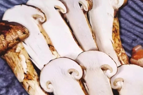 松茸是菌菇類(lèi)的嗎，松茸被稱(chēng)為菌的典故