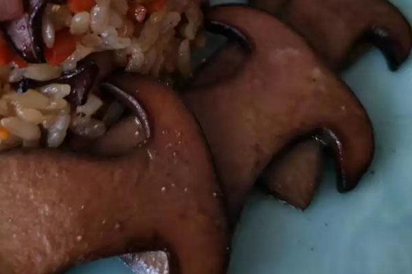 牛肝菌內(nèi)部褐色是壞了嗎，新鮮的黑牛肝菌是什么顏色