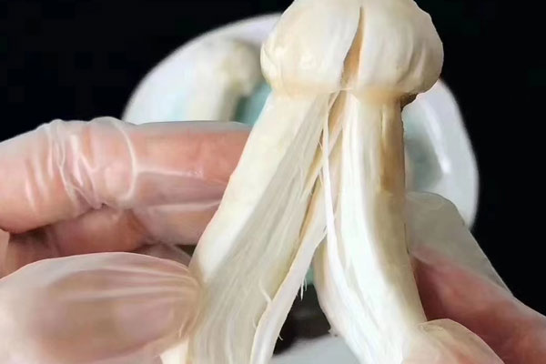 為什么很多酒店指定要香格里拉松茸 為什么很多酒店指定要香格里拉松茸