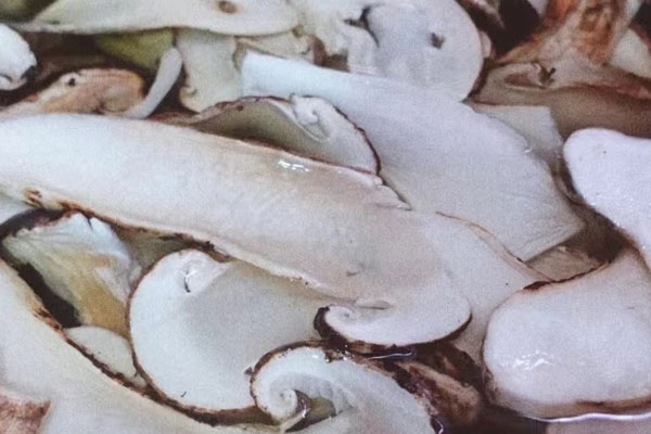 松茸生吃好嗎 松茸生吃好嗎