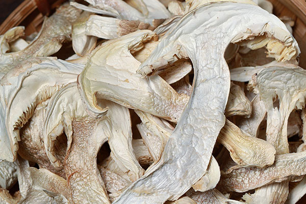 松茸海鮮湯可以放干的松茸嗎 松茸海鮮湯可以放干的松茸嗎