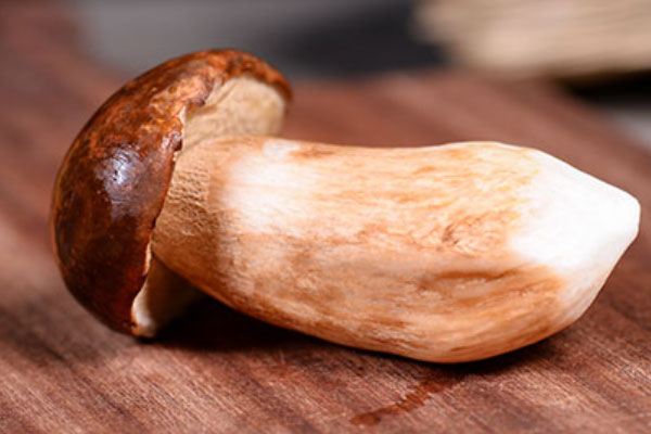 美味牛肝菌的四大功效作用 美味牛肝菌的四大功效作用