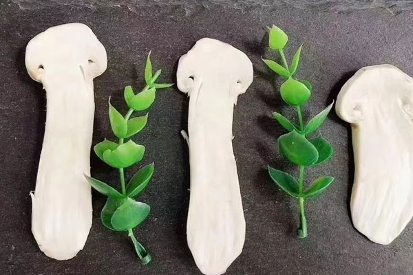 松茸泡酒松茸顏色不白了，松茸泡水后變黑