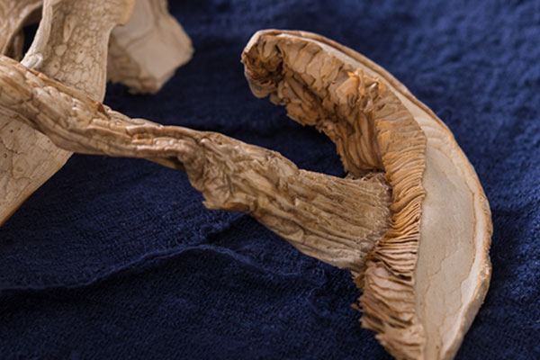 干松茸的根部要去掉嗎 干松茸的根部要去掉嗎