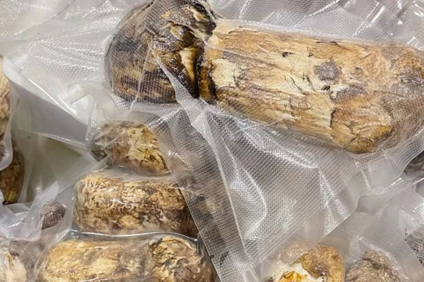 松茸和赤松茸哪個價(jià)格貴 松茸和赤松茸哪個價(jià)格貴