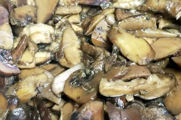 牛肝菌的適合人群，美味牛肝菌的產(chǎn)地在哪里