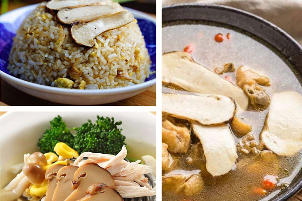 癌癥可以吃松茸菌嗎，日本產(chǎn)松茸嗎