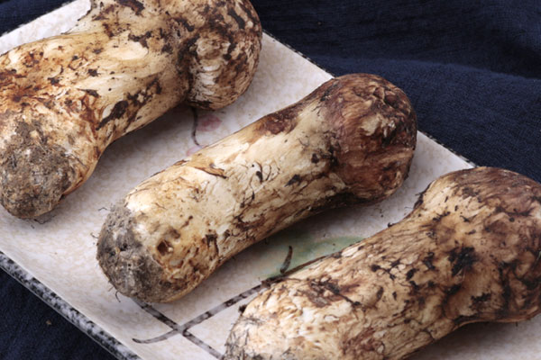 朝鮮松茸和云南松茸哪個(gè)好，松茸在中國(guó)貴嗎