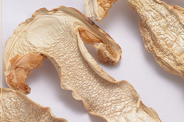 干松茸貴嗎，癌癥病人吃松茸有什么作用