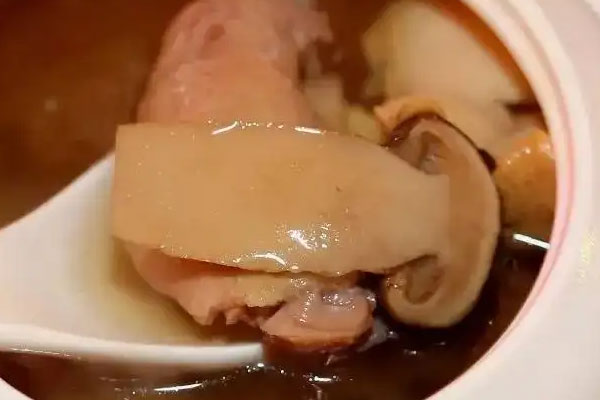 肺腺癌能吃鴿子松茸湯嗎，松茸都是野生的嗎