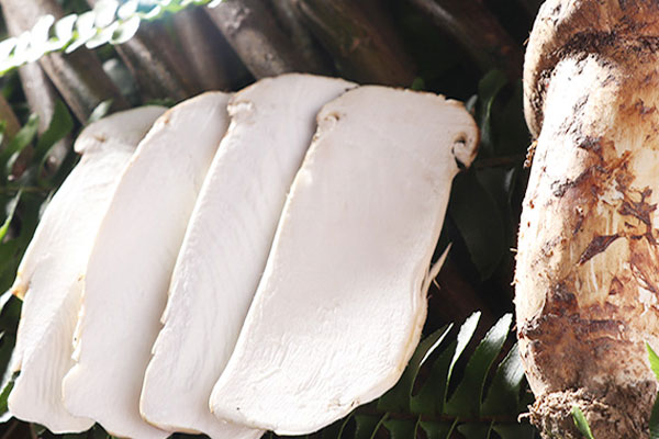 癌癥病人吃松茸對身體有壞處嗎 癌癥病人吃松茸對身體有壞處嗎