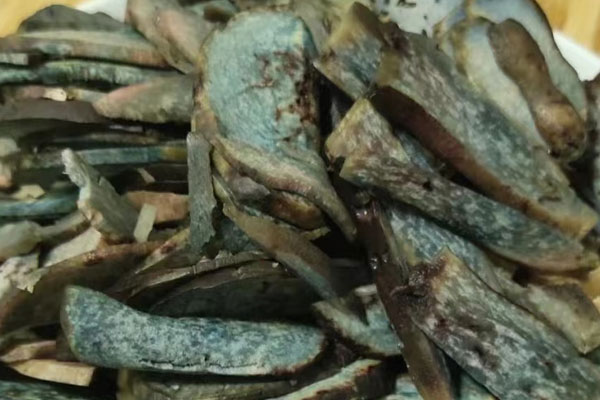 黑牛肝菌會不會變青，黑牛肝菌有藍色的嗎