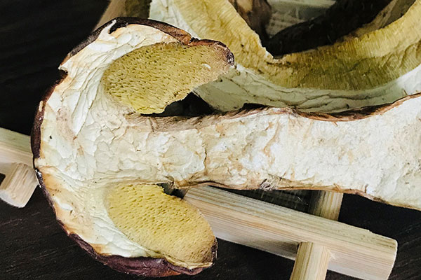 干牛肝菌怎么吃才無毒，牛肝菌怎么做不會(huì)中毒