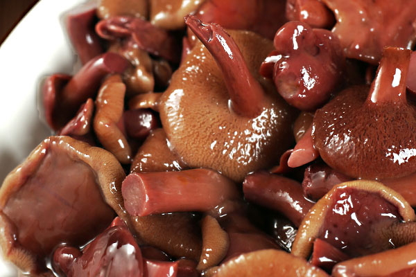 粗柄褶孔牛肝菌能吃嗎，短柄粘蓋牛肝菌有毒嗎