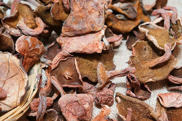 濕氣重能吃牛肝菌嗎 濕氣重能吃牛肝菌嗎