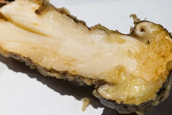 過敏性濕疹能不能吃松茸，松茸怎么去苦味