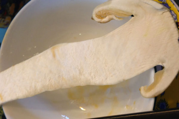 胃部剛做完手術(shù)可以吃松茸嗎，結(jié)腸直腸癌病人能吃松茸嗎