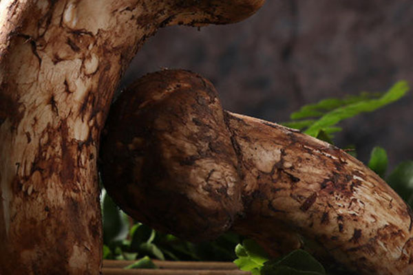 松茸可以消除疲勞嗎 松茸可以消除疲勞嗎