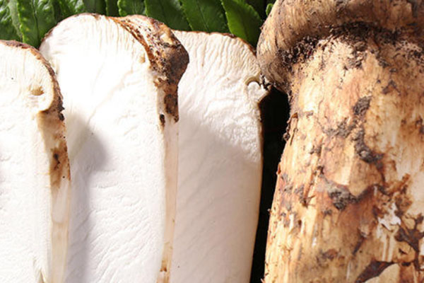 吃松茸會不會肚子脹痛 吃松茸會不會肚子脹痛