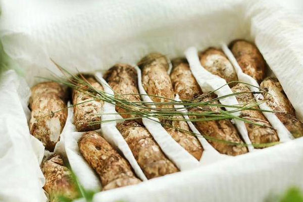 松茸的兩大美容功效 松茸的兩大美容功效