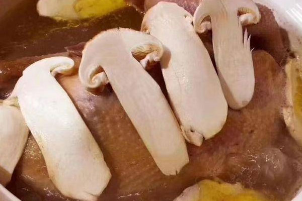 陰虛火旺可以吃松茸嗎